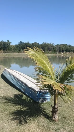 img 20250525 120017938